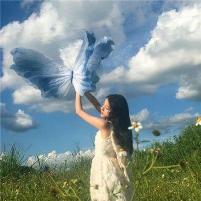 再会吧!青春小鸟